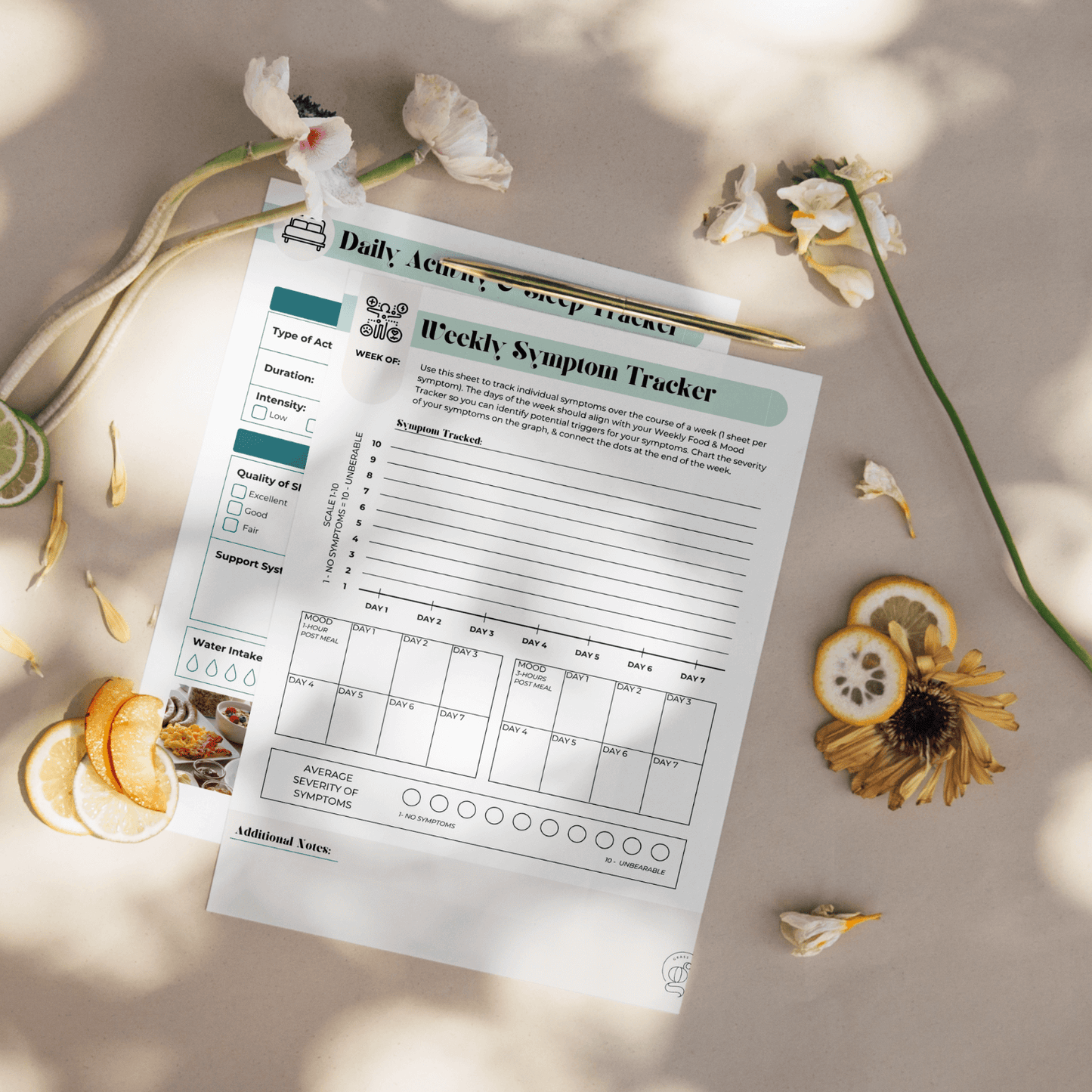 Food, Symptoms, and Sleep Journal (Peri- & Menopause)